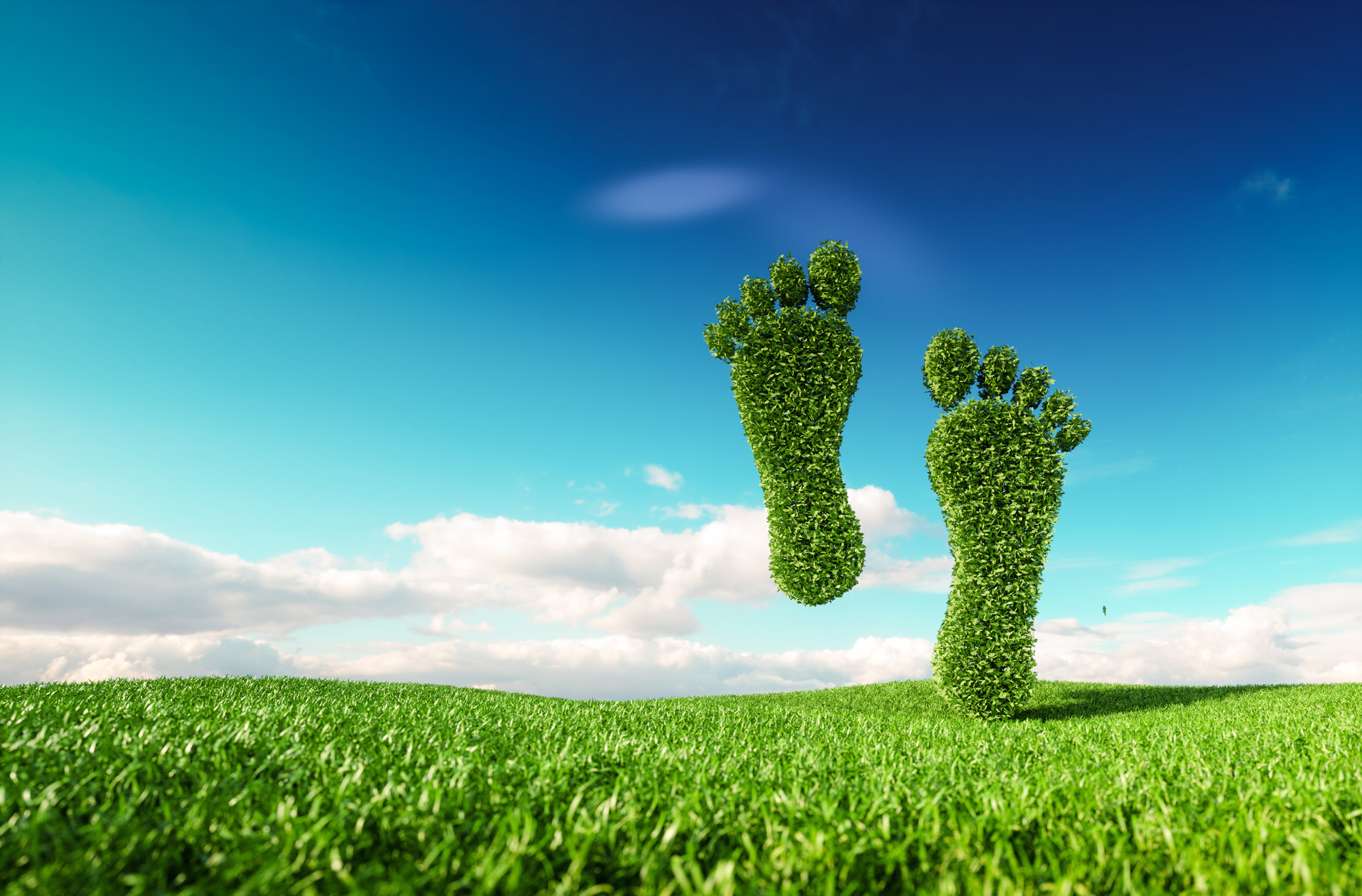 How to Reduce Your Carbon Footprint at Home