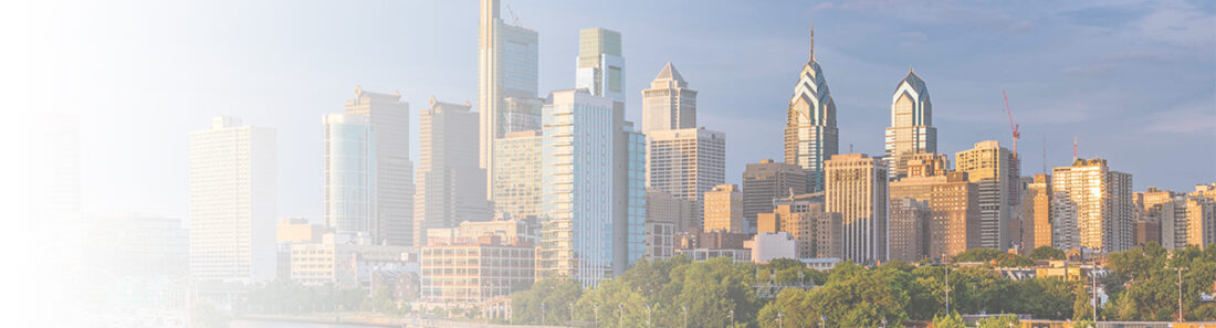 Cleansky banner