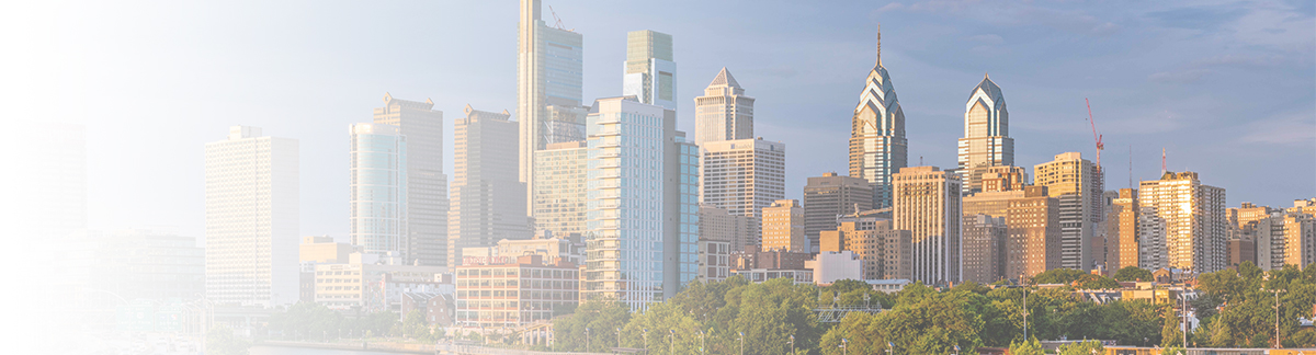 Cleansky banner