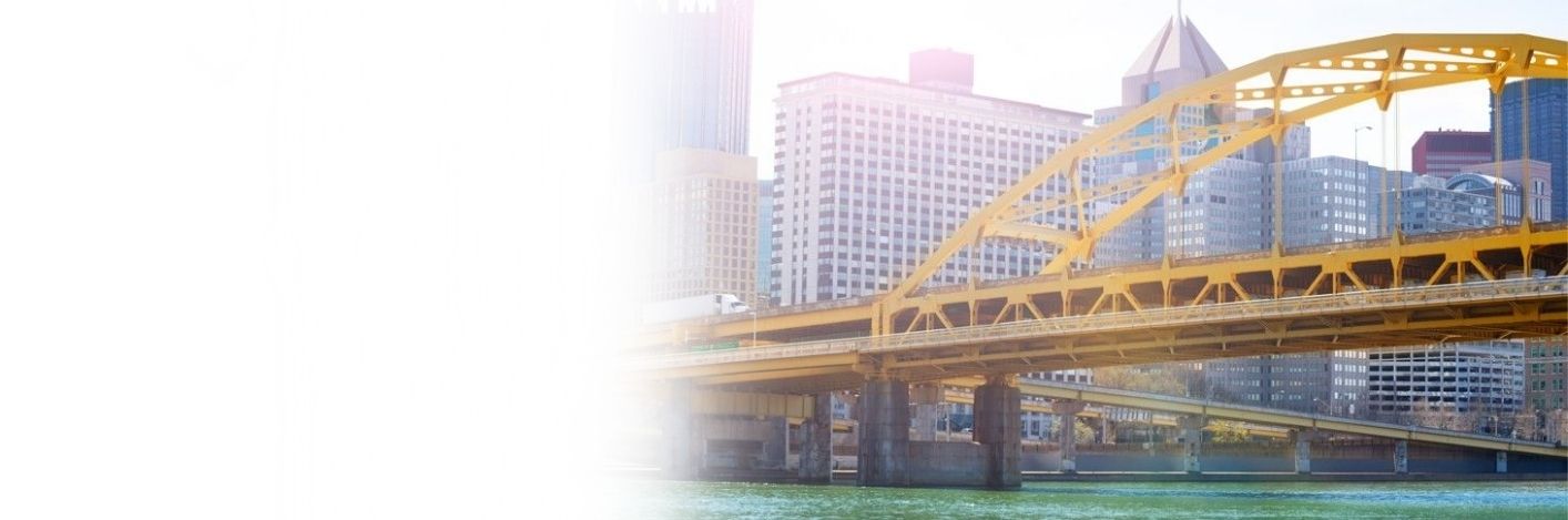Cleansky banner