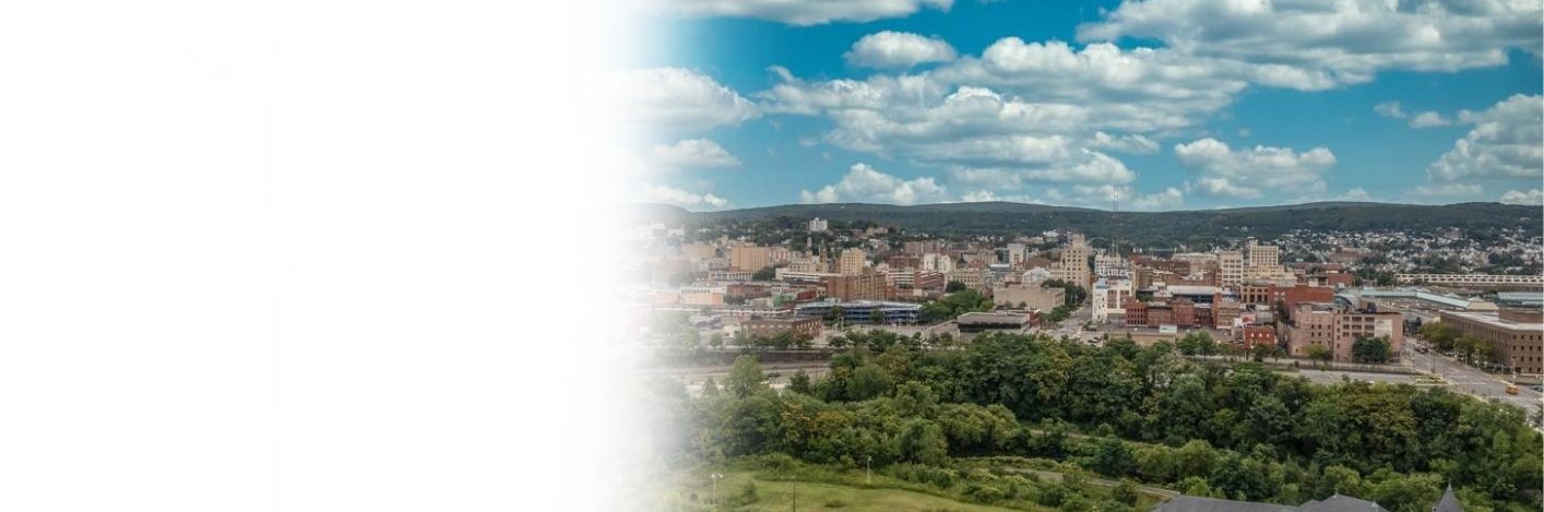 Cleansky banner