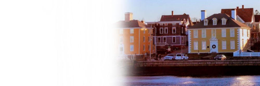 Cleansky banner